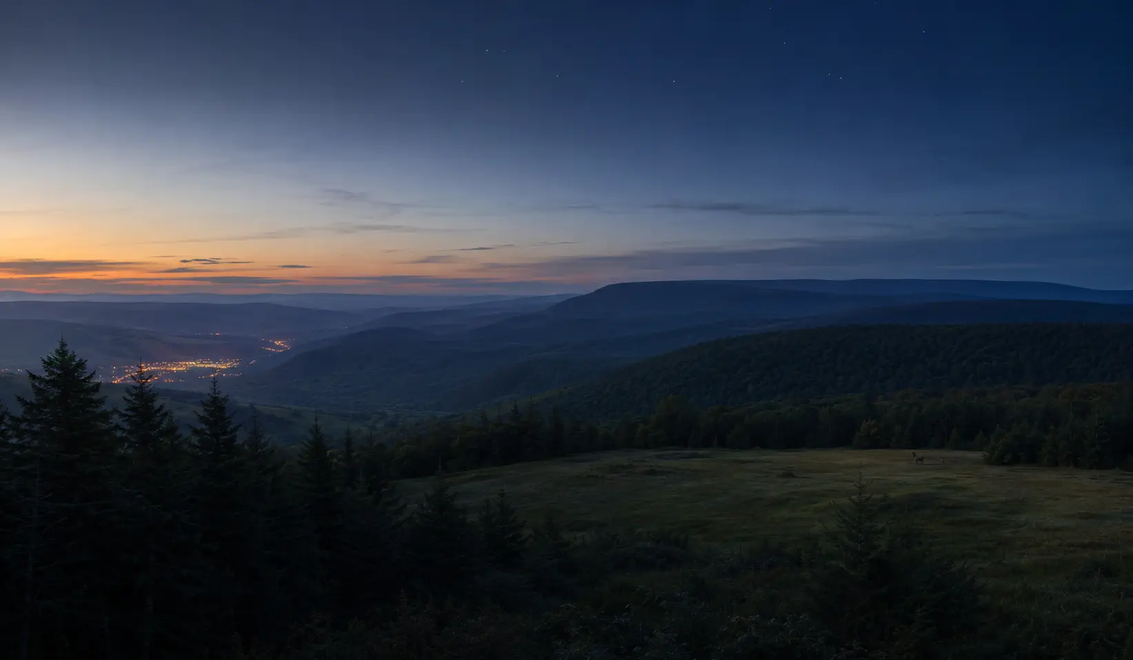 Conceptual editorial Pennsylvania Wilds landscape with dark forest, meadow, distant elk, and a star-rich sky
